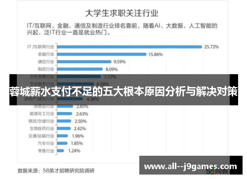 蓉城薪水支付不足的五大根本原因分析与解决对策 蓉城薪水支付不足的五大根本原因分析与解决对策